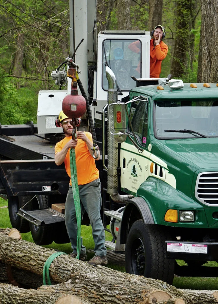 John B. Ward & Co. arborists