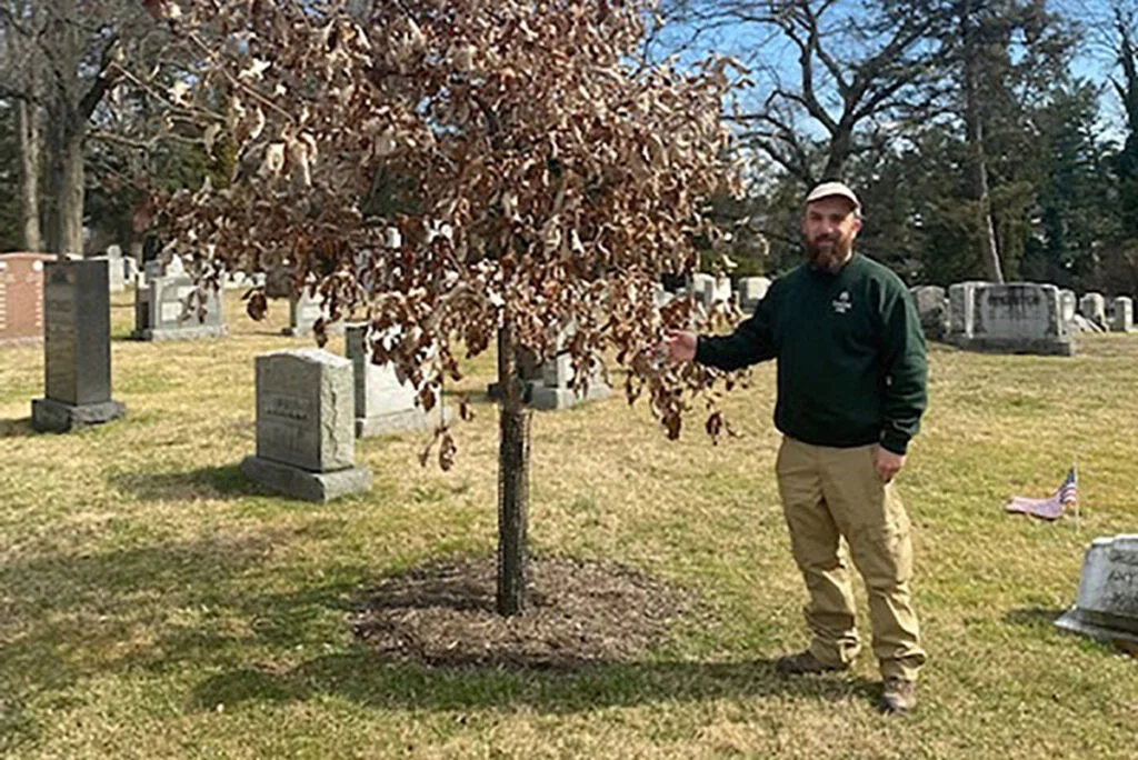 The Arboretum at Laurel Hill Hybrid Oak Trial