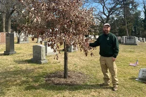 The Arboretum at Laurel Hill Hybrid Oak Trial