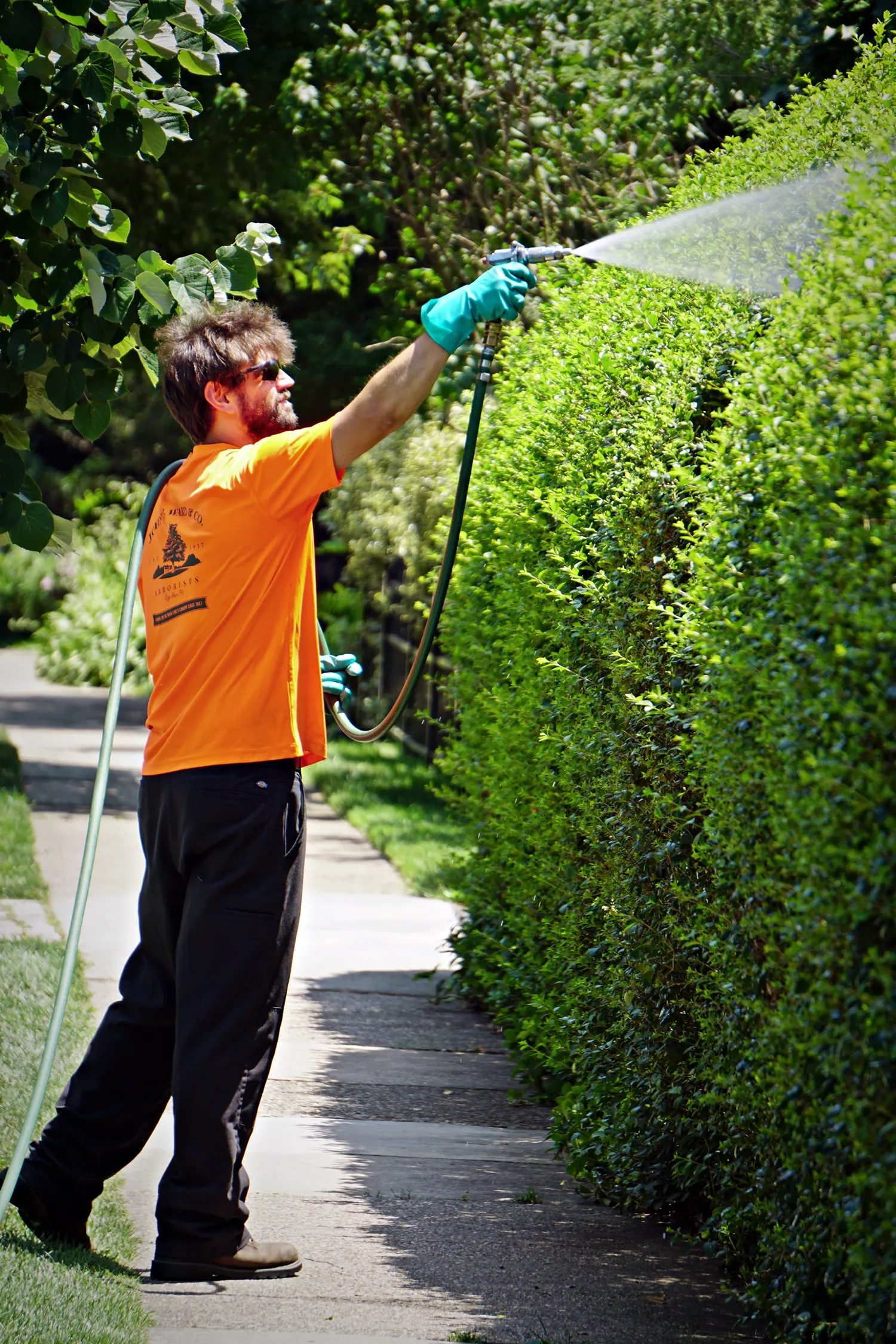 Foliar Sprays — John B. Ward & Co.