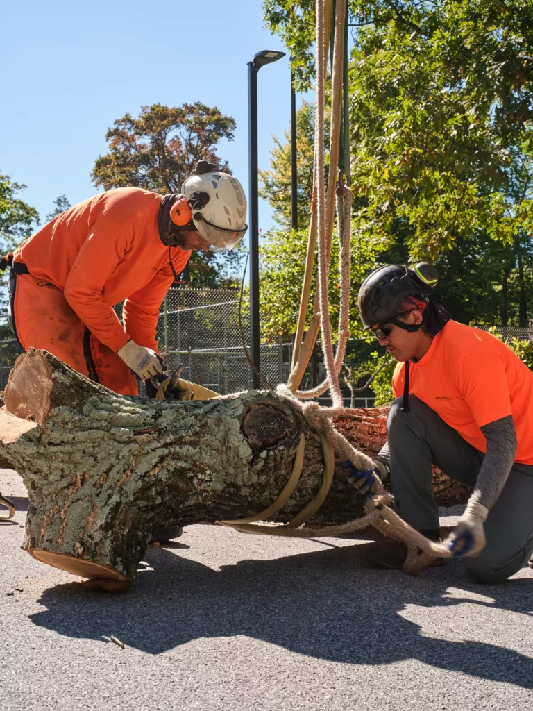 John B. Ward & Co. team