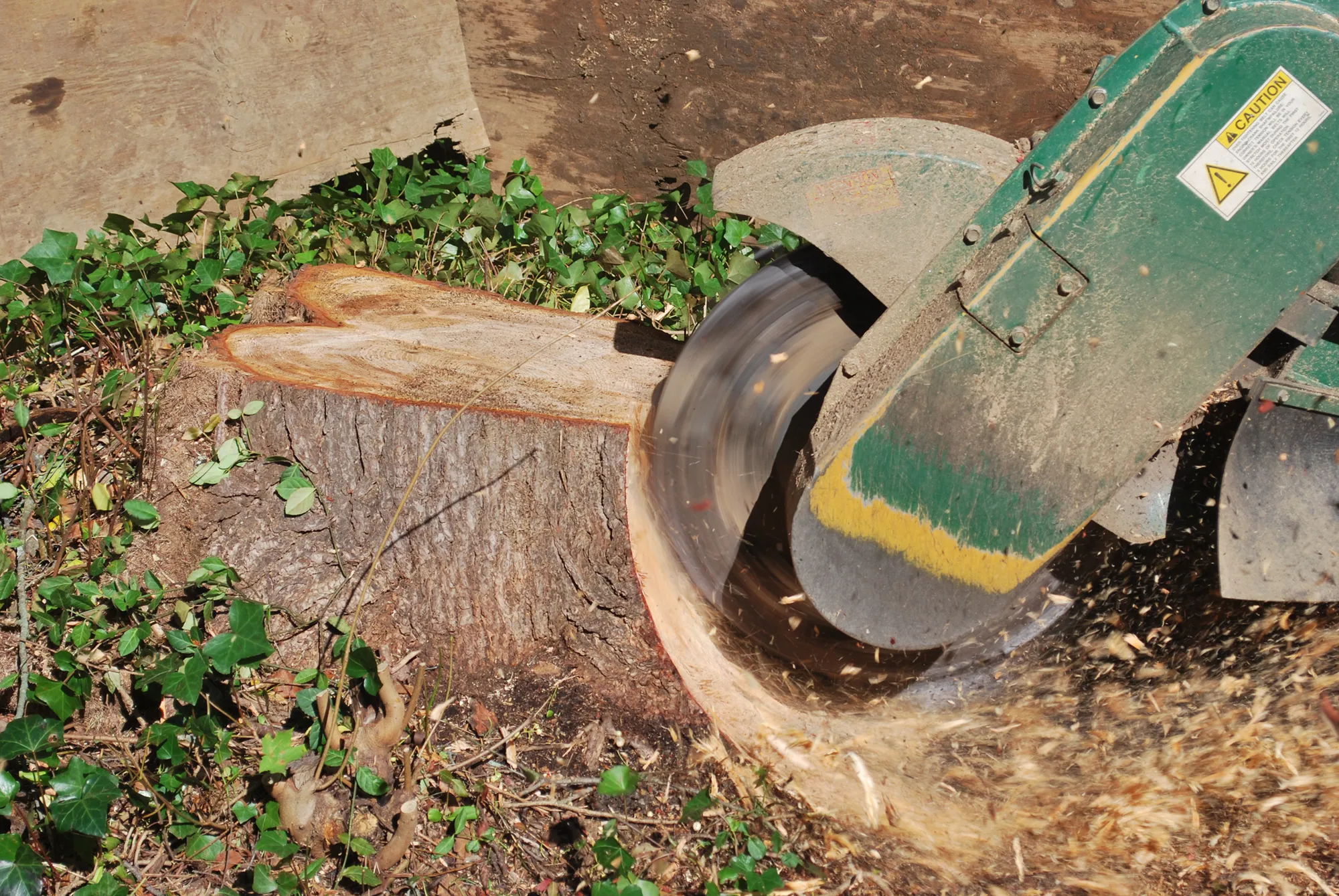 Stump Grinding — John B. Ward & Co.