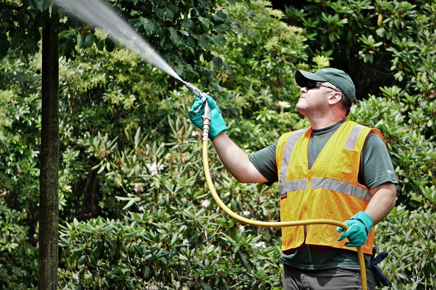 Foliar Sprays — John B. Ward & Co.