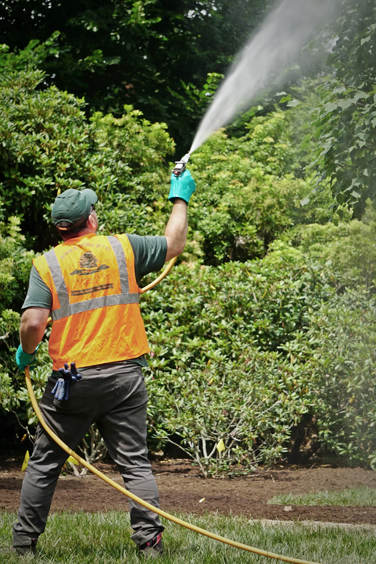 Foliar Sprays — John B. Ward & Co.