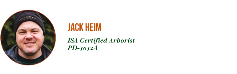 Meet Our New ISA Certified Arborists — Jack Heim 1