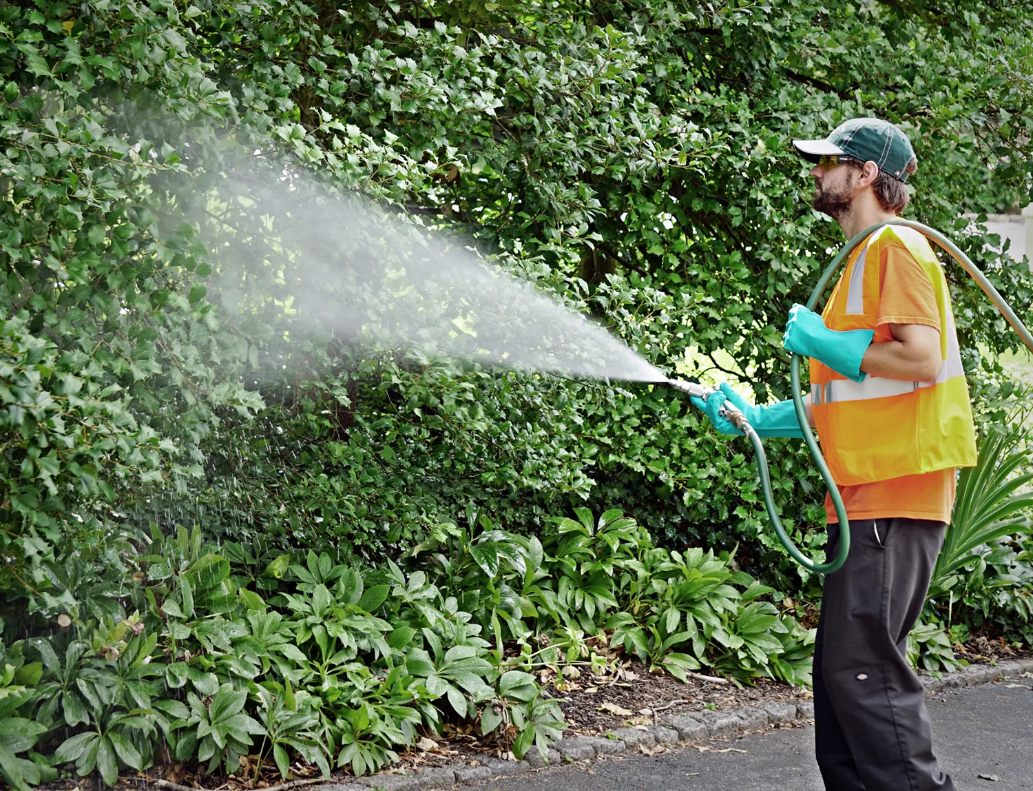 Foliar Sprays — John B. Ward & Co.