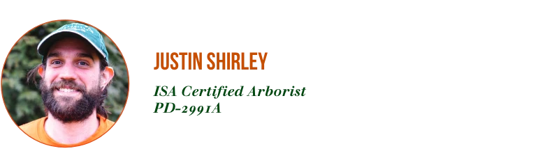 Meet Our New ISA Certified Arborists — Justin Shirley 0