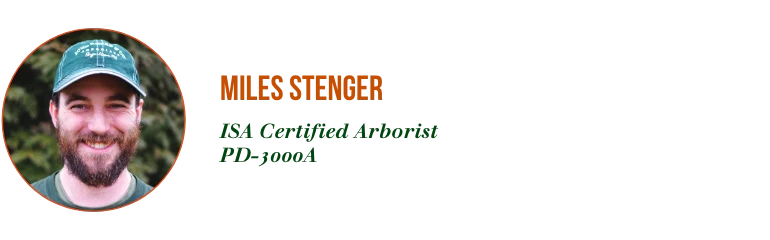 Meet Our New ISA Certified Arborists — Miles Stenger 0