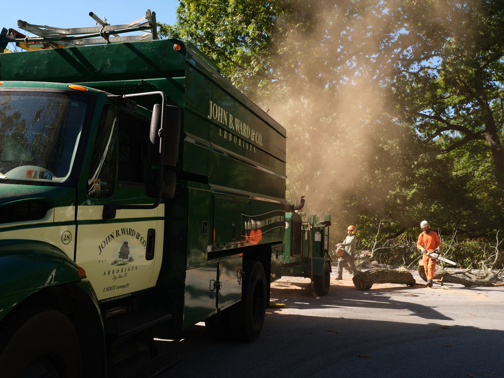 Tree Removal — John B. Ward & Co.