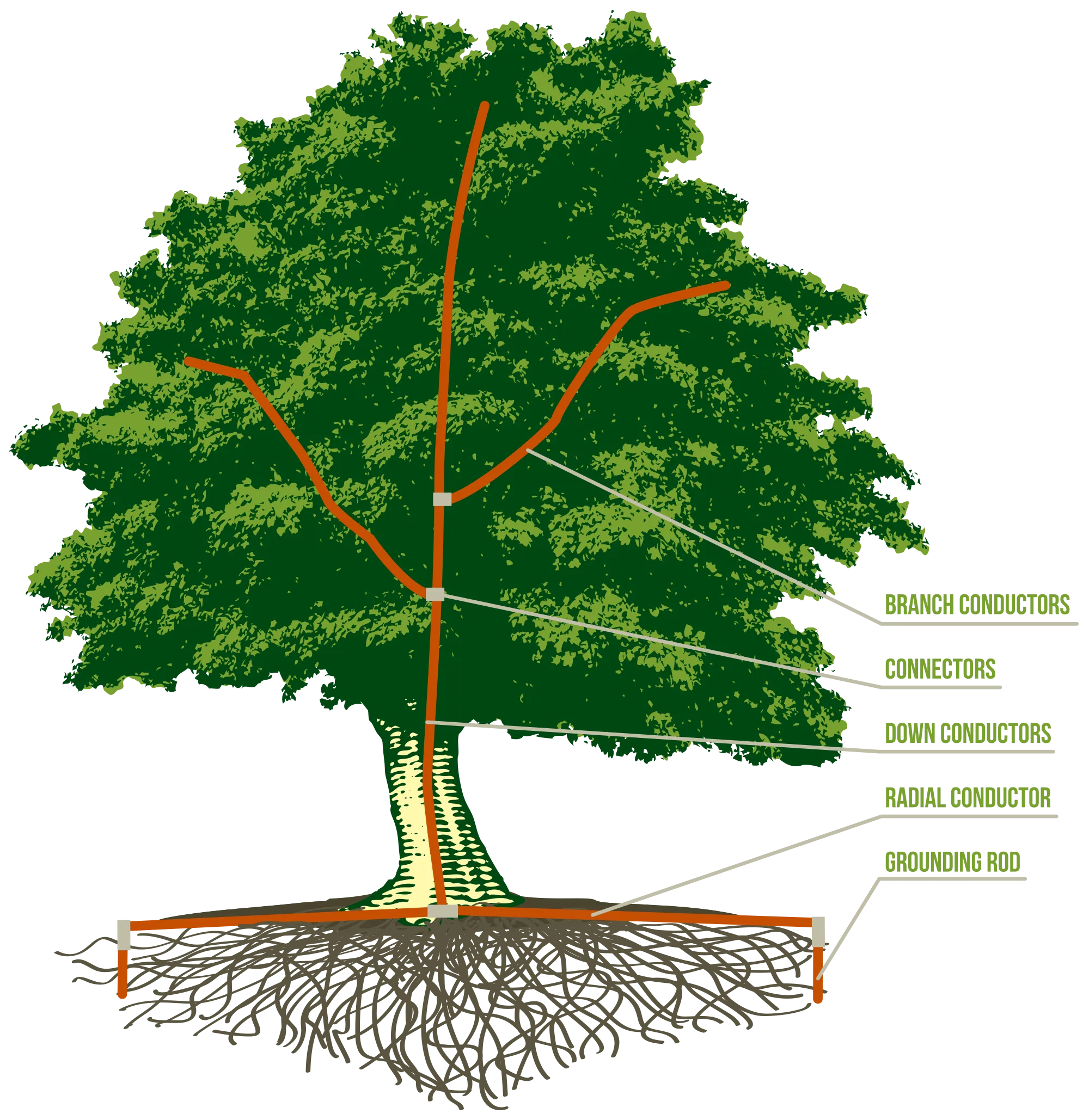 Lightning Protection Systems — John B. Ward & Co.