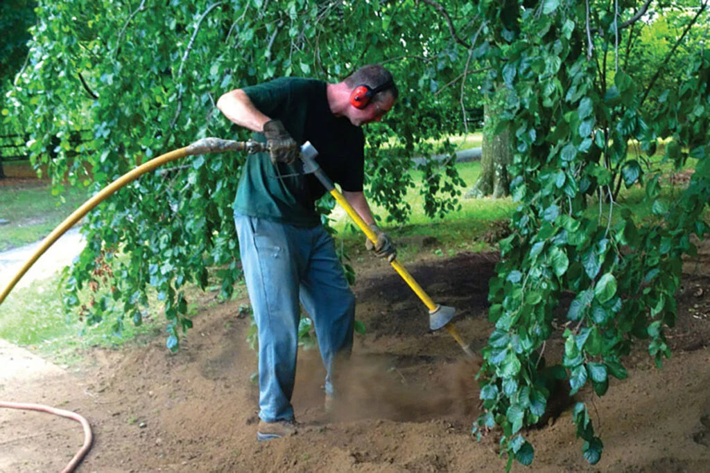 Healthy Soil for Trees