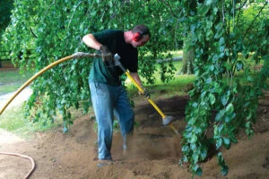 Healthy Soil for Trees