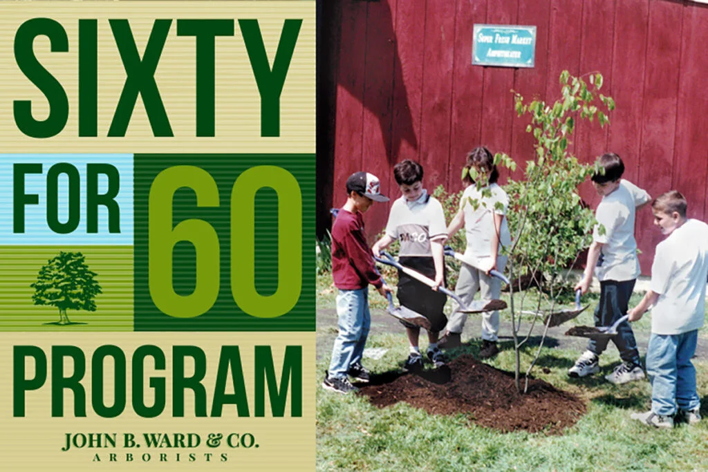 60 for 60 Program