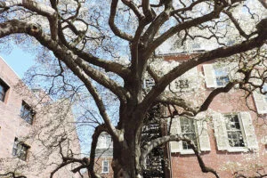 The Philadelphia Contributionship Garden