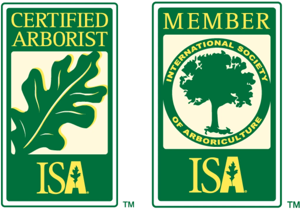 ISA Certified Arborist & Member
