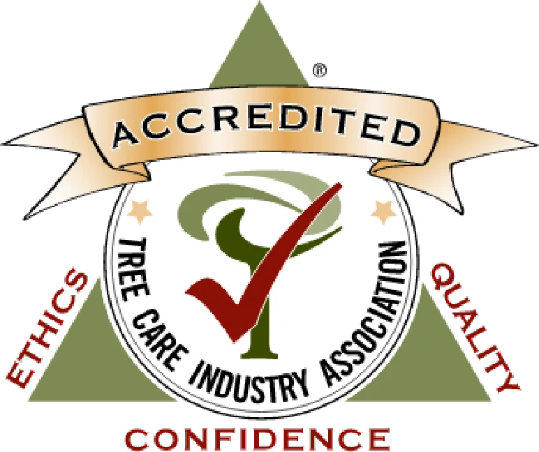 TCIA Accredited