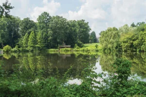 Haverford Arboretum
