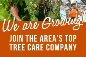 Join Our Team