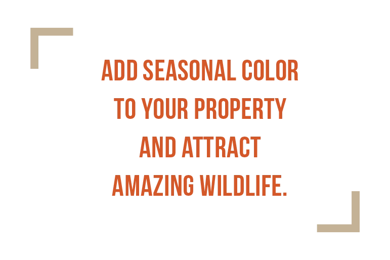 Gardening, wet or dry, small or large — garden
