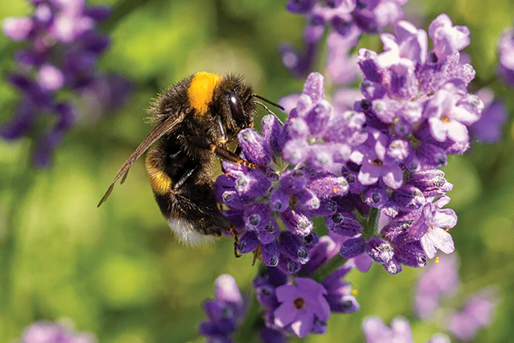 Gardening, wet or dry, small or large