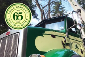 65 years… and looking ahead