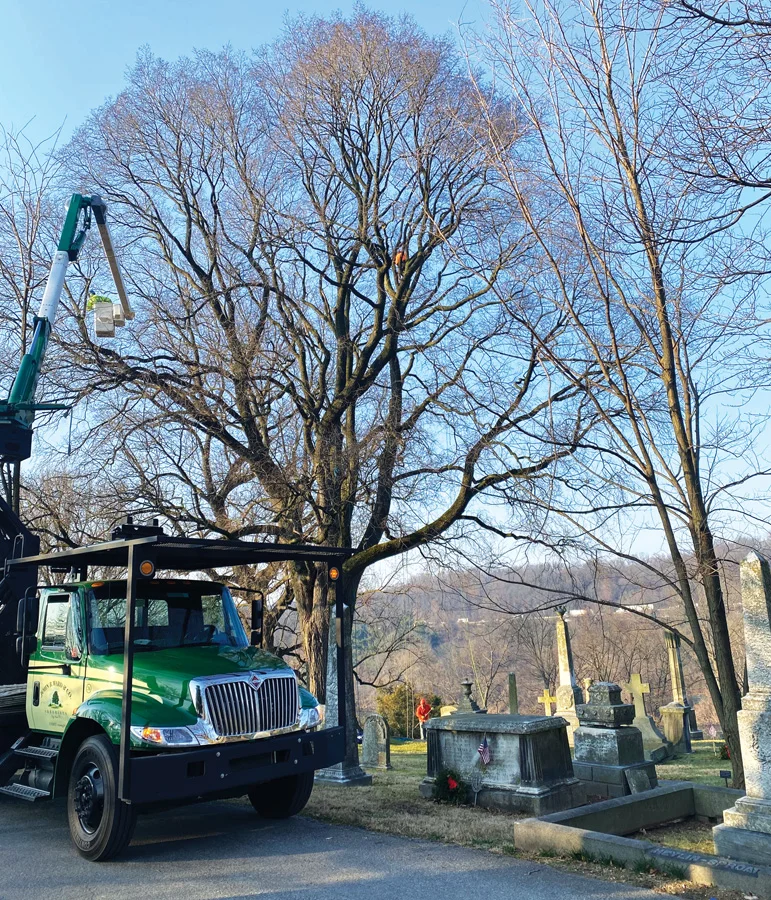 Large Tree Pruning — largetreepruning2