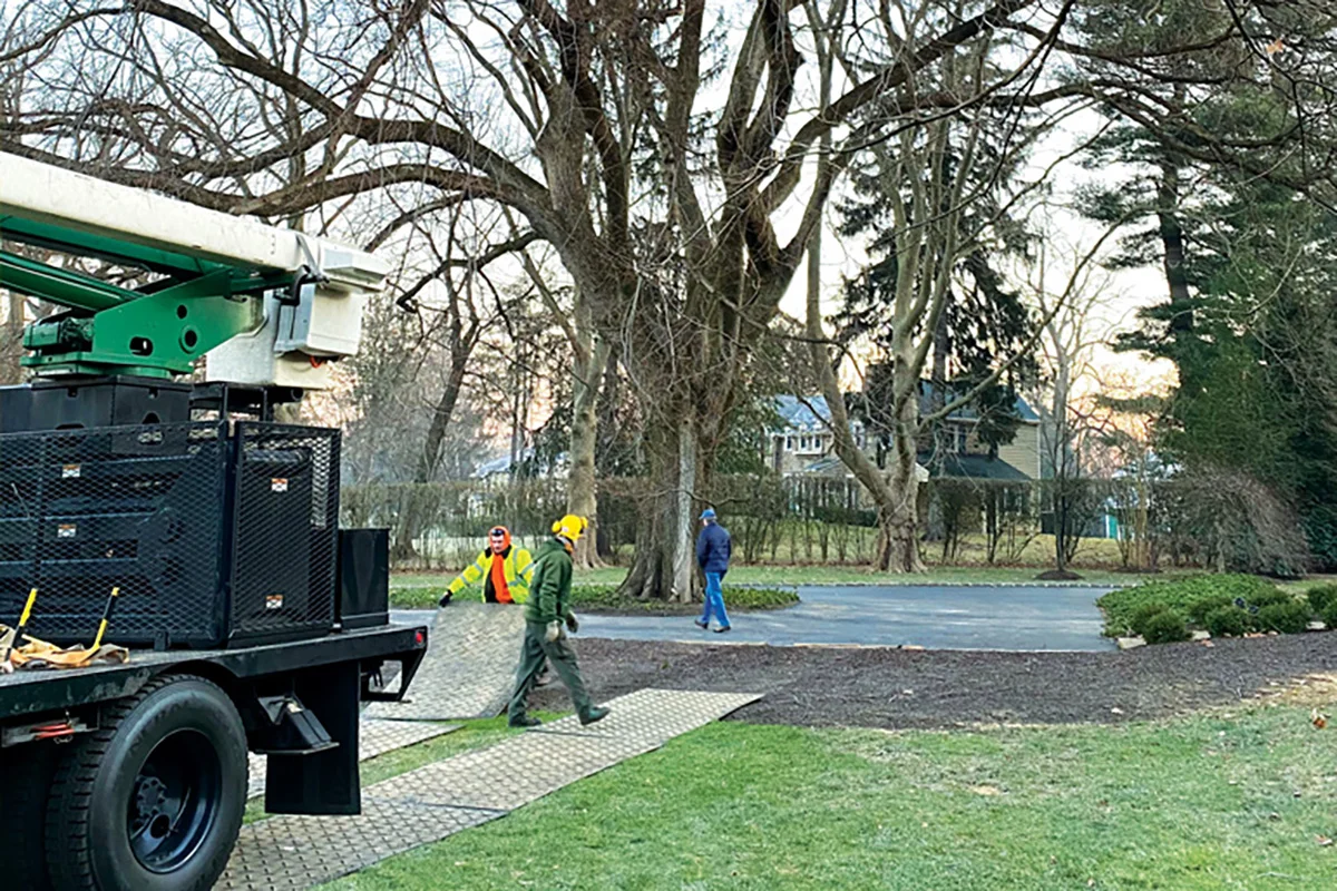 Large Tree Pruning