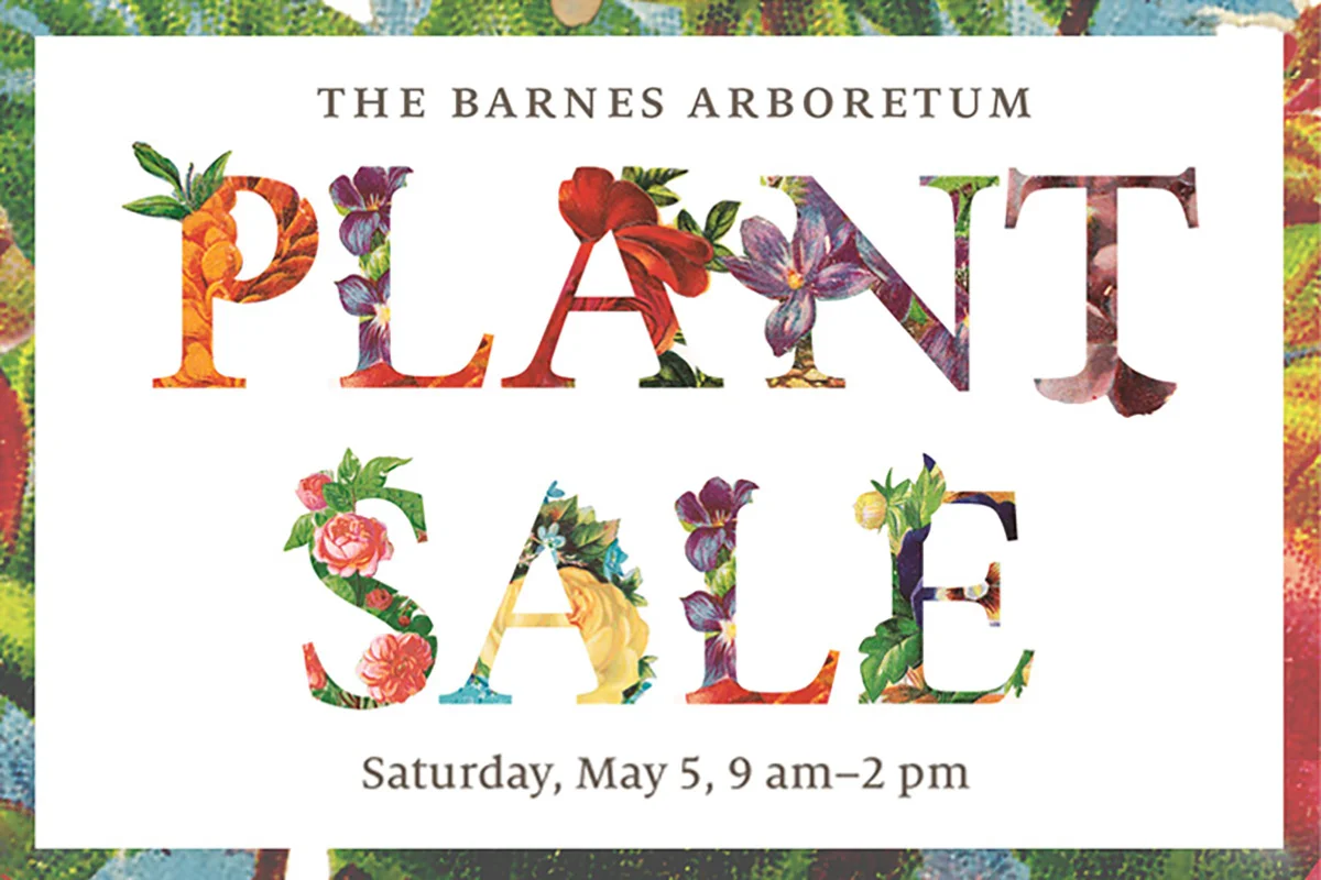 The Barnes Arboretum Plant Sale
