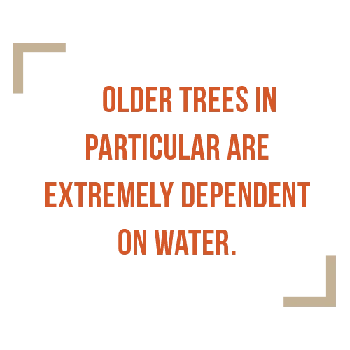 Importance of Water — water quote 2