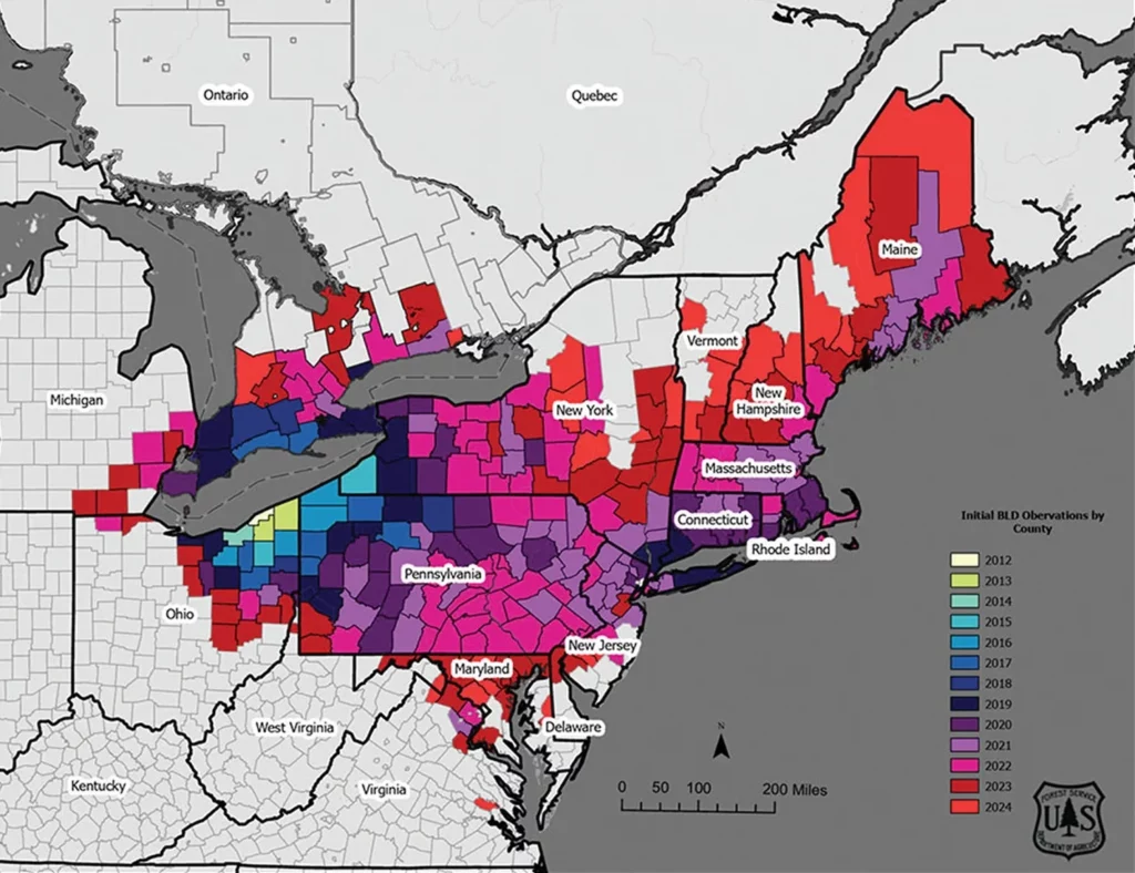 Plant Healthcare News 2025 — BLD map copy 2 1 1024x788