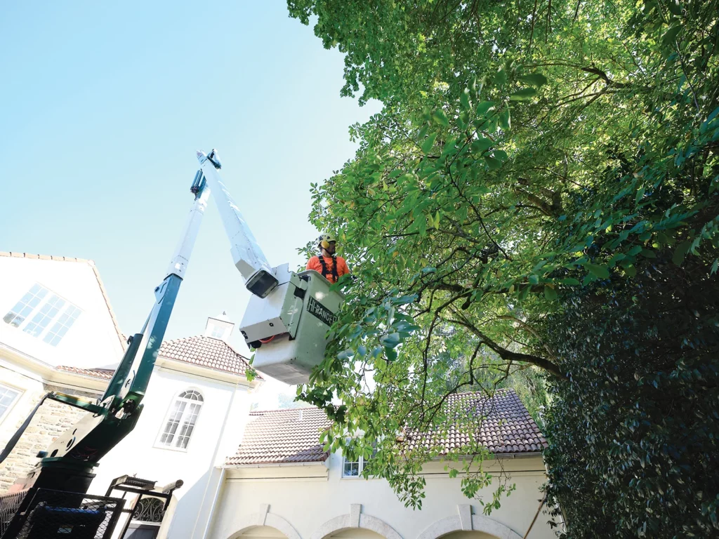 Tree Pruning — pruning 3 copy 2 1024x768